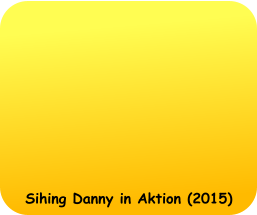 Sihing Danny in Aktion (2015)